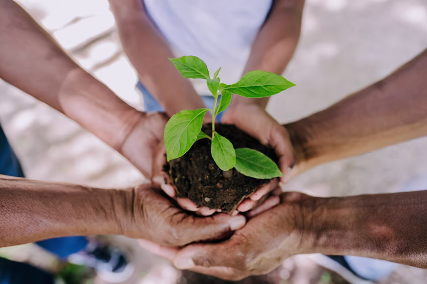Environment & Plantation Environment & Plantation